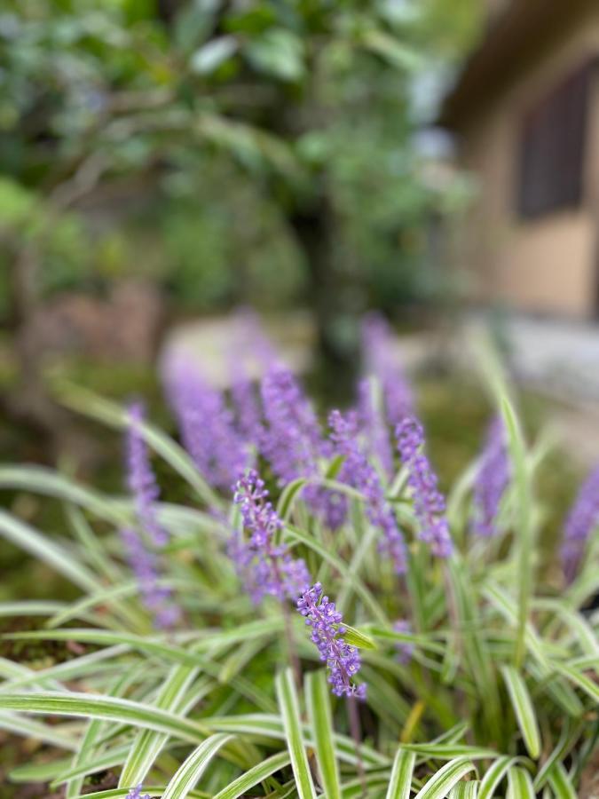 Ryokan Genhouin Kyoto Eksteriør billede